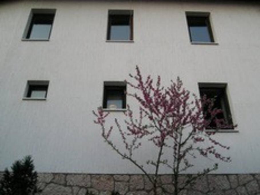 Apartment In Old Town - Top Location Sarajevo Luaran gambar